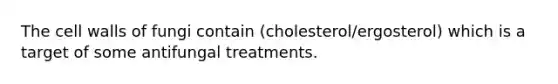 The cell walls of fungi contain (cholesterol/ergosterol) which is a target of some antifungal treatments.