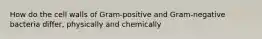 How do the cell walls of Gram-positive and Gram-negative bacteria differ, physically and chemically