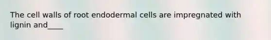 The cell walls of root endodermal cells are impregnated with lignin and____