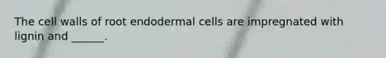 The cell walls of root endodermal cells are impregnated with lignin and ______.