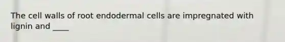 The cell walls of root endodermal cells are impregnated with lignin and ____