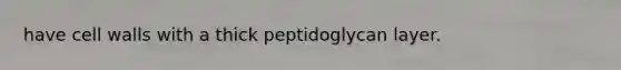 have cell walls with a thick peptidoglycan layer.