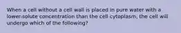 When a cell without a cell wall is placed in pure water with a lower-solute concentration than the cell cytoplasm, the cell will undergo which of the following?