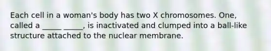 Each cell in a woman's body has two X chromosomes. One, called a _____ _____, is inactivated and clumped into a ball-like structure attached to the nuclear membrane.