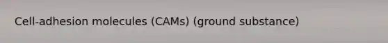 Cell-adhesion molecules (CAMs) (ground substance)