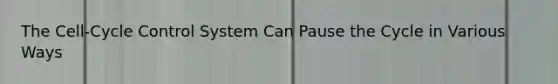 The Cell-Cycle Control System Can Pause the Cycle in Various Ways