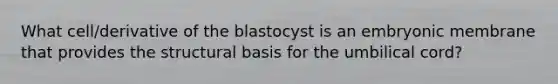 What cell/derivative of the blastocyst is an embryonic membrane that provides the structural basis for the umbilical cord?