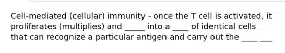 Cell-mediated (cellular) immunity - once the T cell is activated, it proliferates (multiplies) and _____ into a ____ of identical cells that can recognize a particular antigen and carry out the ____ ___