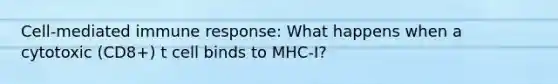 Cell-mediated immune response: What happens when a cytotoxic (CD8+) t cell binds to MHC-I?