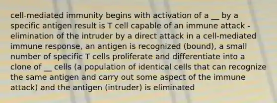 cell-mediated immunity begins with activation of a __ by a specific antigen result is T cell capable of an immune attack - elimination of the intruder by a direct attack in a cell-mediated immune response, an antigen is recognized (bound), a small number of specific T cells proliferate and differentiate into a clone of __ cells (a population of identical cells that can recognize the same antigen and carry out some aspect of the immune attack) and the antigen (intruder) is eliminated