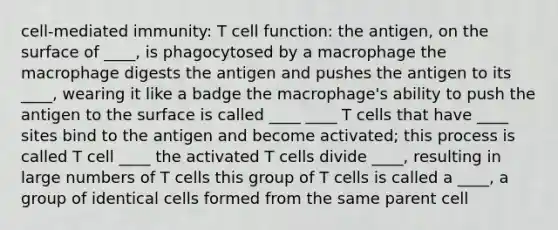 cell-mediated immunity: T cell function: the antigen, on the surface of ____, is phagocytosed by a macrophage the macrophage digests the antigen and pushes the antigen to its ____, wearing it like a badge the macrophage's ability to push the antigen to the surface is called ____ ____ T cells that have ____ sites bind to the antigen and become activated; this process is called T cell ____ the activated T cells divide ____, resulting in large numbers of T cells this group of T cells is called a ____, a group of identical cells formed from the same parent cell