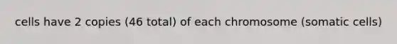 cells have 2 copies (46 total) of each chromosome (somatic cells)