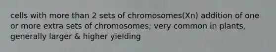 cells with more than 2 sets of chromosomes(Xn) addition of one or more extra sets of chromosomes; very common in plants, generally larger & higher yielding