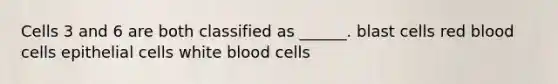 Cells 3 and 6 are both classified as ______. blast cells red blood cells epithelial cells white blood cells