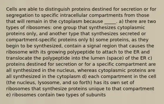 Cells are able to distinguish proteins destined for secretion or for segregation to specific intracellular compartments from those that will remain in the cytoplasm because _____. a) there are two types of ribosomes: one group that synthesizes cytoplasmic proteins only, and another type that synthesizes secreted or compartment-specific proteins only b) some proteins, as they begin to be synthesized, contain a signal region that causes the ribosome with its growing polypeptide to attach to the ER and translocate the polypeptide into the lumen (space) of the ER c) proteins destined for secretion or for a specific compartment are all synthesized in the nucleus, whereas cytoplasmic proteins are all synthesized in the cytoplasm d) each compartment in the cell (the nucleus, lysosome, and so forth) has its own set of ribosomes that synthesize proteins unique to that compartment e) ribosomes contain two types of subunits