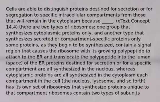 Cells are able to distinguish proteins destined for secretion or for segregation to specific intracellular compartments from those that will remain in the cytoplasm because _____. (eText Concept 14.4) there are two types of ribosomes: one group that synthesizes cytoplasmic proteins only, and another type that synthesizes secreted or compartment-specific proteins only some proteins, as they begin to be synthesized, contain a signal region that causes the ribosome with its growing polypeptide to attach to the ER and translocate the polypeptide into the lumen (space) of the ER proteins destined for secretion or for a specific compartment are all synthesized in the nucleus, whereas cytoplasmic proteins are all synthesized in the cytoplasm each compartment in the cell (the nucleus, lysosome, and so forth) has its own set of ribosomes that synthesize proteins unique to that compartment ribosomes contain two types of subunits