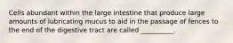 Cells abundant within the large intestine that produce large amounts of lubricating mucus to aid in the passage of fences to the end of the digestive tract are called __________.