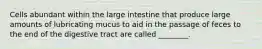 Cells abundant within the large intestine that produce large amounts of lubricating mucus to aid in the passage of feces to the end of the digestive tract are called ________.