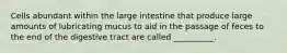 Cells abundant within the large intestine that produce large amounts of lubricating mucus to aid in the passage of feces to the end of the digestive tract are called __________.