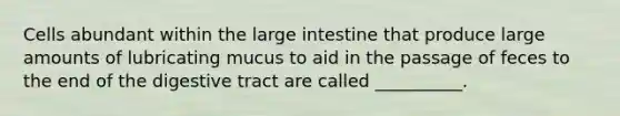 Cells abundant within the <a href='https://www.questionai.com/knowledge/kGQjby07OK-large-intestine' class='anchor-knowledge'>large intestine</a> that produce large amounts of lubricating mucus to aid in the passage of feces to the end of the digestive tract are called __________.