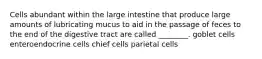 Cells abundant within the large intestine that produce large amounts of lubricating mucus to aid in the passage of feces to the end of the digestive tract are called ________. goblet cells enteroendocrine cells chief cells parietal cells