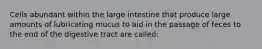 Cells abundant within the large intestine that produce large amounts of lubricating mucus to aid in the passage of feces to the end of the digestive tract are called: