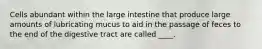 Cells abundant within the large intestine that produce large amounts of lubricating mucus to aid in the passage of feces to the end of the digestive tract are called ____.