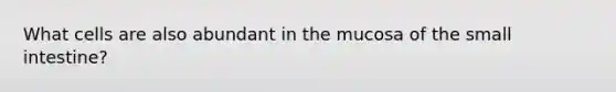 What cells are also abundant in the mucosa of <a href='https://www.questionai.com/knowledge/kt623fh5xn-the-small-intestine' class='anchor-knowledge'>the small intestine</a>?