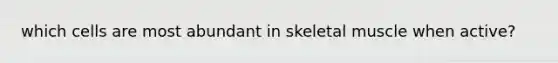 which cells are most abundant in skeletal muscle when active?