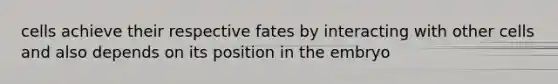 cells achieve their respective fates by interacting with other cells and also depends on its position in the embryo