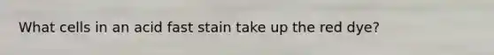 What cells in an acid fast stain take up the red dye?