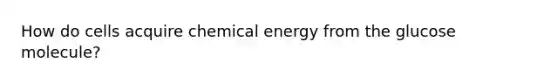 How do cells acquire chemical energy from the glucose molecule?