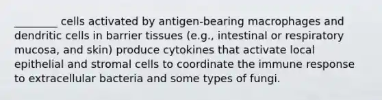 ________ cells activated by antigen-bearing macrophages and dendritic cells in barrier tissues (e.g., intestinal or respiratory mucosa, and skin) produce cytokines that activate local epithelial and stromal cells to coordinate the immune response to extracellular bacteria and some types of fungi.