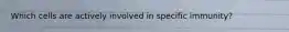 Which cells are actively involved in specific immunity?