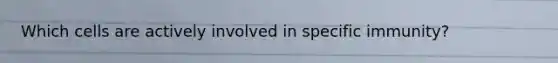 Which cells are actively involved in specific immunity?