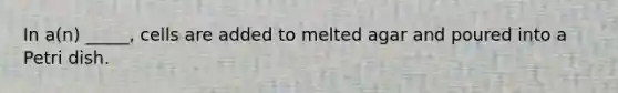In a(n) _____, cells are added to melted agar and poured into a Petri dish.