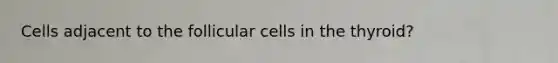 Cells adjacent to the follicular cells in the thyroid?