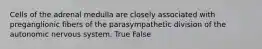 Cells of the adrenal medulla are closely associated with preganglionic fibers of the parasympathetic division of the autonomic nervous system. True False
