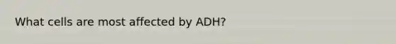 What cells are most affected by ADH?