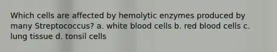 Which cells are affected by hemolytic enzymes produced by many Streptococcus? a. white blood cells b. red blood cells c. lung tissue d. tonsil cells