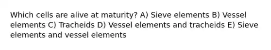 Which cells are alive at maturity? A) Sieve elements B) Vessel elements C) Tracheids D) Vessel elements and tracheids E) Sieve elements and vessel elements