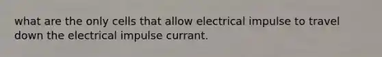 what are the only cells that allow electrical impulse to travel down the electrical impulse currant.