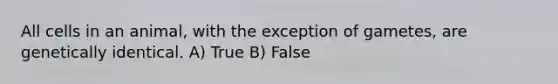 All cells in an animal, with the exception of gametes, are genetically identical. A) True B) False