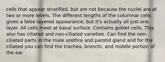 cells that appear stratified, but are not because the nuclei are at two or more levels. The different lengths of the columnar cells gives a false layered appearance, but it's actually all just one layer. All cells meet at basal surface. Contains goblet cells. This also has ciliated and non-ciliated varieties. Can find the non-ciliated parts in the male urethra and parotid gland and for the ciliated you can find the trachea, bronchi, and middle portion of the ear