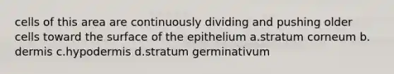 cells of this area are continuously dividing and pushing older cells toward the surface of the epithelium a.stratum corneum b. dermis c.hypodermis d.stratum germinativum