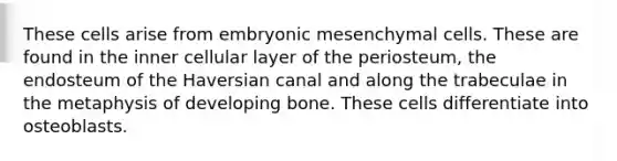 These cells arise from embryonic mesenchymal cells. These are found in the inner cellular layer of the periosteum, the endosteum of the Haversian canal and along the trabeculae in the metaphysis of developing bone. These cells differentiate into osteoblasts.