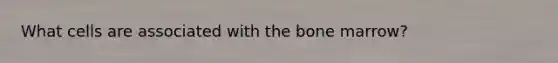 What cells are associated with the bone marrow?