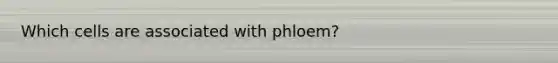 Which cells are associated with phloem?