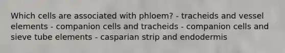 Which cells are associated with phloem? - tracheids and vessel elements - companion cells and tracheids - companion cells and sieve tube elements - casparian strip and endodermis