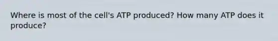 Where is most of the cell's ATP produced? How many ATP does it produce?